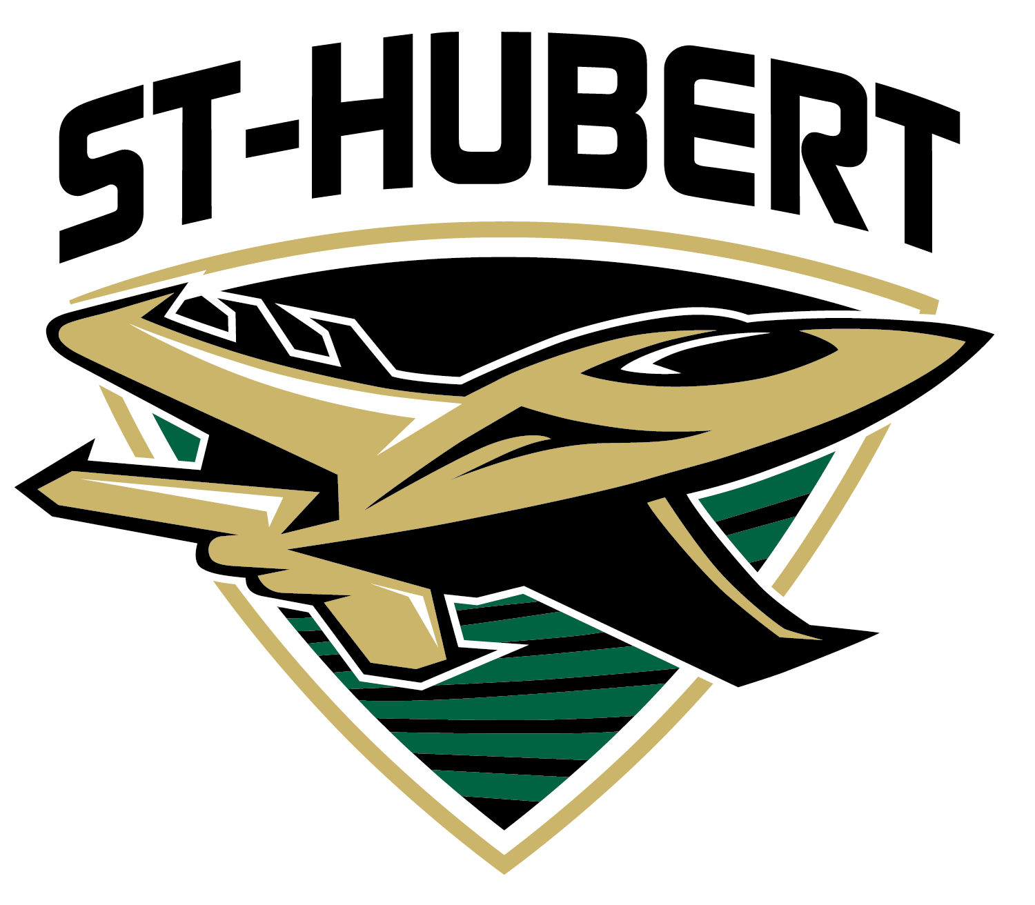 2025-01-23 St Hubert - Hockey - FlashXmedia